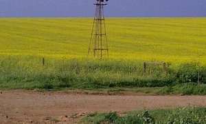 It's About the Journey 